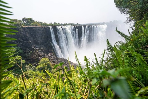 Water plunges into the depths, Victoria Falls with jungle and green plants, Zambezi, Zimbabwe
