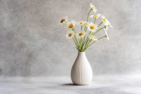 A beautiful arrangement of daisy flowers in a stylish white ceramic vase set against a subtle gray
