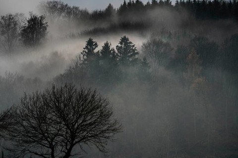 Foggy landscape, near Wesertal, Weser Uplands, Weserbergland, Hesse, Germany