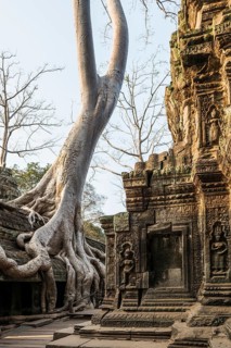 Ta Prohm, Angkor Wat, Angkor, UNESCO World Heritage Site, Siem Reap, Cambodia, Indochina, Southeast