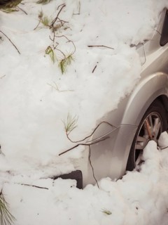A vehicle is nearly buried under fresh snowfall, with pine needles scattered, highlighting the