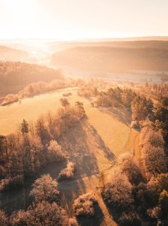Hilly landscape at dawn with dense forests and long shadows, Gechingen district of Calw, Black