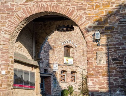 LandMuseum, rural museum, Wülmersen moated castle, Trendelburg, Hesse, Germany