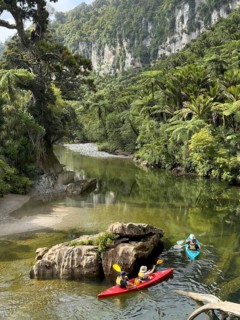 Paddle boats on the Pororari River Track, Paparoa National Park, South Island, New Zealand, Oceania