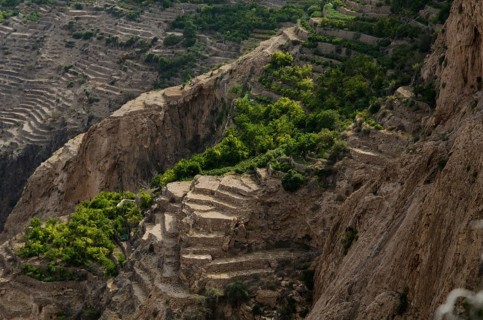 The green mountains called Jebel Akhdar of the Hajar mountain range, the harsh interior of Oman,
