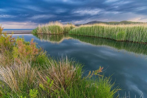 Landscape Greece, thunderstorm, thunderstorm atmosphere, reed, biotope, bird biotope, island