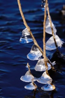 Ice on the banks of the Elbe, Winter, Dresden, Saxony, Germany