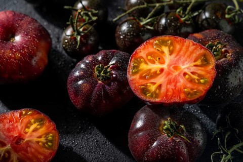 Close up of dark, glossy tomatoes with droplets, showing their vibrant hues. The fresh produce
