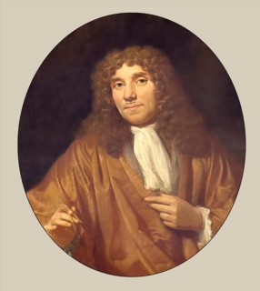 Antonie Philips van Leeuwenhoek, 1632 – 1723, a Dutch microbiologist and microscopist