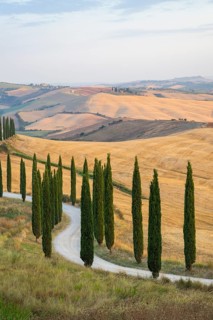 Typical Tuscan landscape in Crete Senesi with hills, trees, fields, cypresses and farm road in