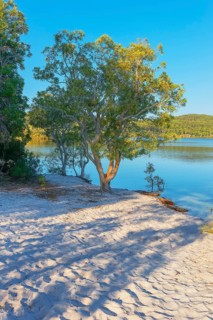 McKenzie Lake, Fraser Island, Queensland, Australia