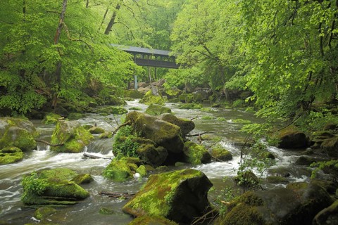 Wooden bridge over the Prüm with boulders and stones, Irrel waterfalls, nature photography, Irrel,