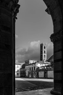 View of Piazza San Martino, historic city centre, black and white photograph, Lucca, Tuscany, Italy