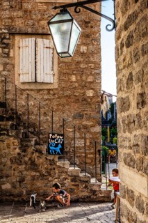 Alstadtgasse with cat, Budva, Montenegro, Budva, Montenegro