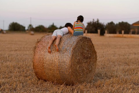 Back view of unrecognizable young boy in shorts lies atop a large hay bale while the girl, dressed