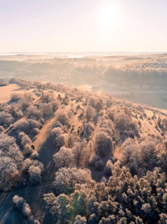 Winter hills and trees in soft sunlight with a clear sky, Gechingen, Hecken und Gäu region,