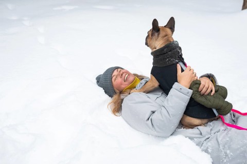 A person in a gray winter coat and beanie joyfully playing in the snow with a dressed-up dog. The