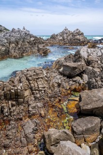 Rocky coast with tide pools, Walker Bay Nature Reserve, Western Cape, South Africa