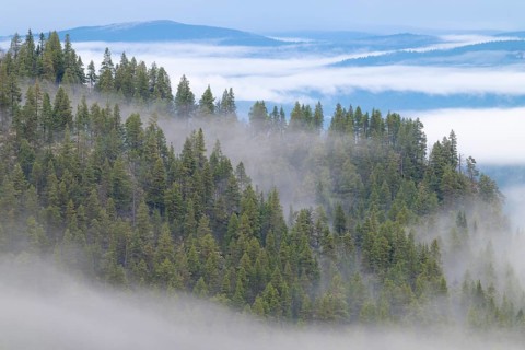 Foggy weather in the mountains, Alvdal Vestfjell, Hedmark, Innlandet, Norway, November 2025
