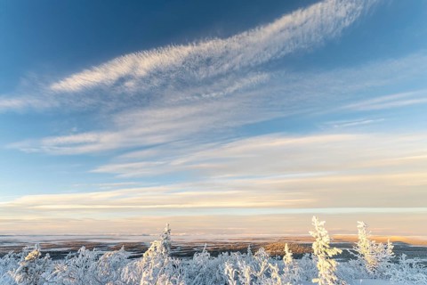 View of marshland in the mountains, Sjaunja Nature Reserve, Laponia World Heritage Site,