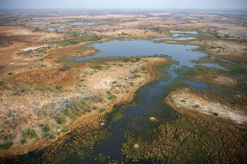 Wetland, landscape, aerial view of the Okavango Delta, near Maun, Okavango Delta, Botswana