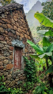 Volcanic stone house with red shutters next to banana plants (musa) in a mountainous environment,