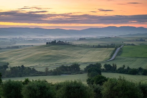 Poggio Covili estate with cypress alley (Cupressus) at sunrise, near San Quirico d'Orcia, Val
