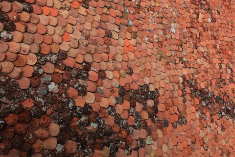 Old roof covering, beaver tail-shaped tiles, partly already weathered or with growth of lichens and