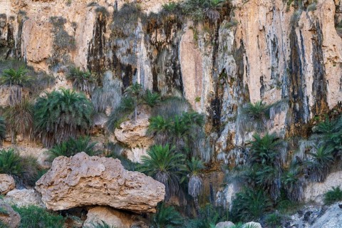 Limestone gorge of Wadi Shuwaymiyah, Dhofar, Oman