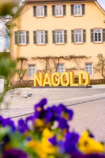 A yellow house with large yellow Nagold lettering in the foreground, surrounded by colorful