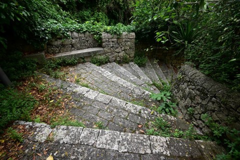 Stairs down a path lined with greenery. The path leads along a ravine and connects the Superior