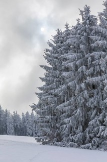 Snow-covered winter landscape decorated with hoarfrost near Eibenstock, Erzgebirge, Saxony, Germany