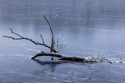 Frozen Schlachtensee, Zehlendorf, Berlin, Germany