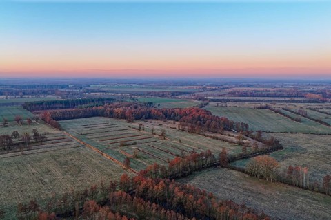 Landscape in the Drömling UNESCO Biosphere Reserve in the Altmark at dawn on a cold spring day.