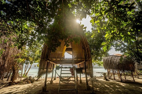 Traditional bamboo hut elevated on stilts, nestled among lush trees with a view of the serene beach