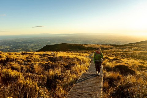 A hiker enjoys a serene moment at sunrise on a boardwalk at Mount Taranaki in New Zealand. The