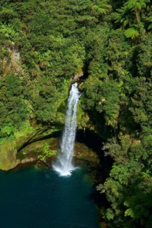 Landscape with a high waterfall leading into a forested river, Te Rere o Omanawa, Omanawa Falls,