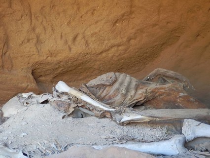 Bones and decayed matter in a sandy cave environment, below the rock church of Abuna yemata Guh,