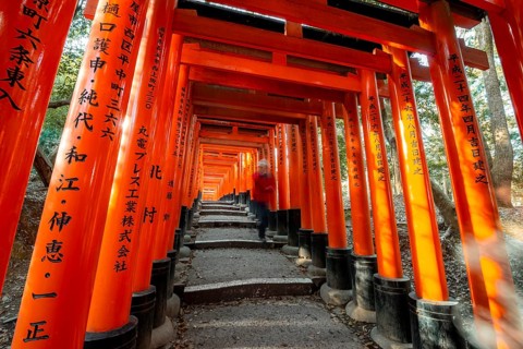 Visitors on a journey through hundreds of red traditional torii gates, Fushimi Inari-taisha, Shinto