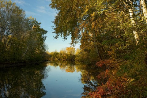Autumn mood, riparian forest, water, Lower Austria