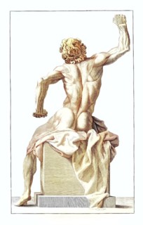View from behind of the Laconic statue in the Vatican, naked, man, muscles being viewed