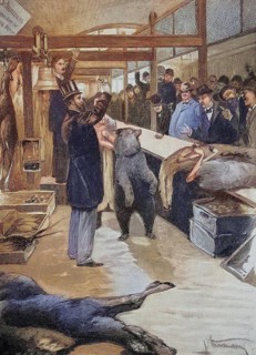 Bear Auction in the Berlin Market Hall, 1875, Germany, Historic, digitally restored reproduction of
