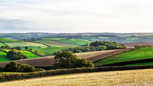Colours of Devon Farms and Fields over Paignton and Berry Pomeroy, Totnes, England, United Kingdom
