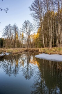Winterladscape of a swamp with ice, Lengenbach, Deining, Upper Palatinate, Bavaria, Germany