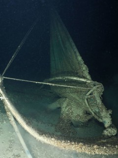 A windsurfer was sunk in Lake Constance as an attraction for divers. It is now covered with quagga