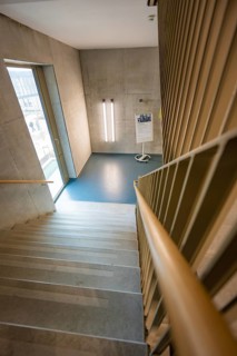 Concrete staircase with wooden railing, minimalistic design and modern lighting in a bright room,