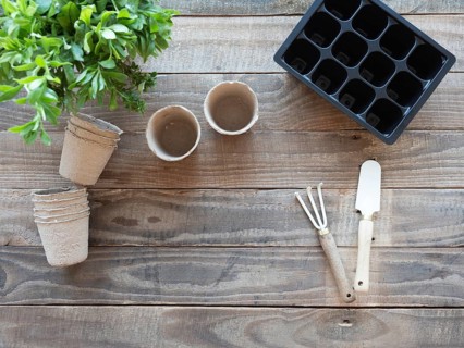 Garden equipment including pots, tray, trowel, rake, and green plant on wooden background