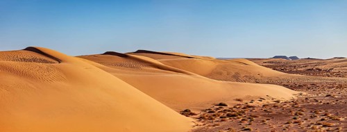 Golden sand dunes under a clear blue sky create a tranquil atmosphere, The endless dunes in the