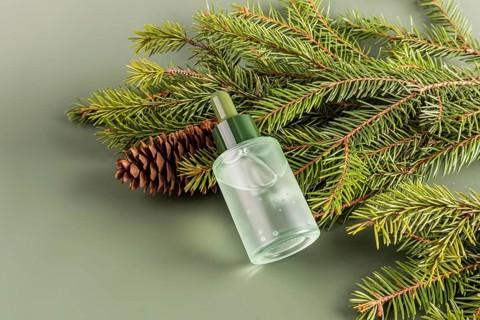 From above a clear bottle of essential oil surrounded by vibrant green coniferous branches and a