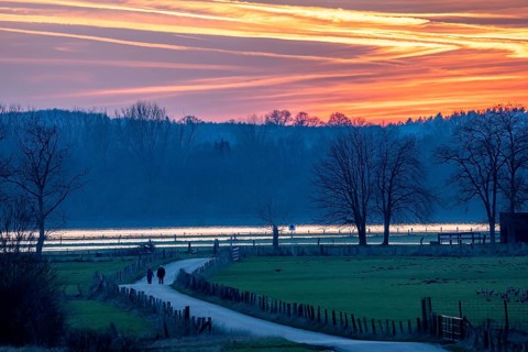 Bislicher Insel, in winter, floods in the floodplains due to Rhine flooding, nature reserve on the